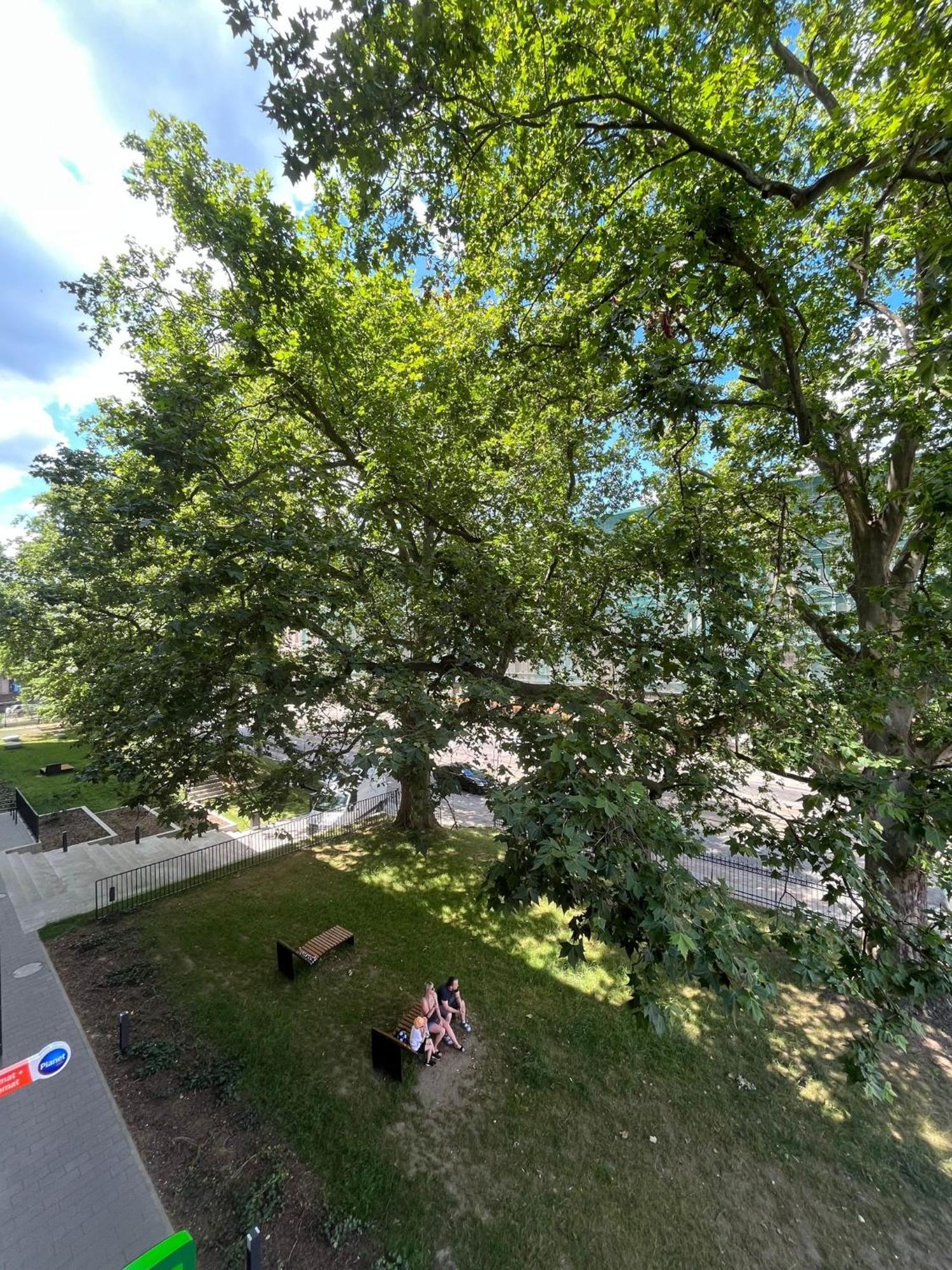 Komfort Z Balkonem W Centrum Wrocław Zewnętrze zdjęcie